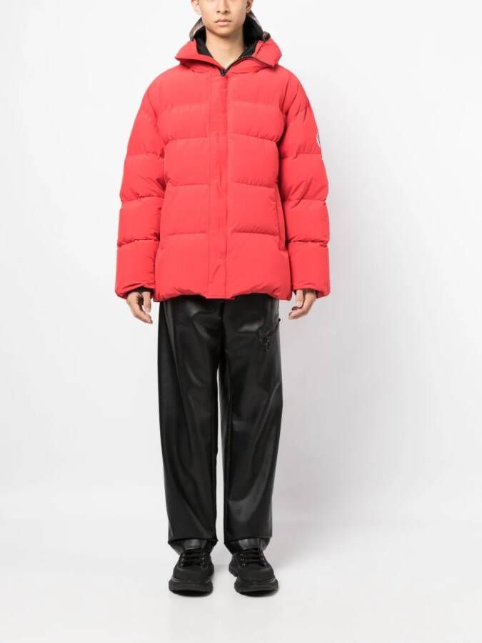Doublet Jack met capuchon Rood