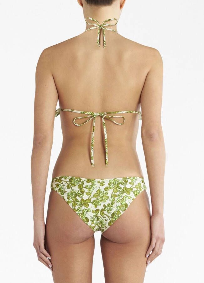 ETRO Bikinitop met bloemenprint Groen