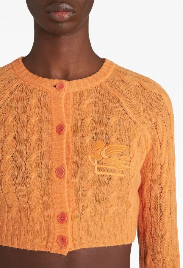 ETRO Kabelgebreid vest Oranje