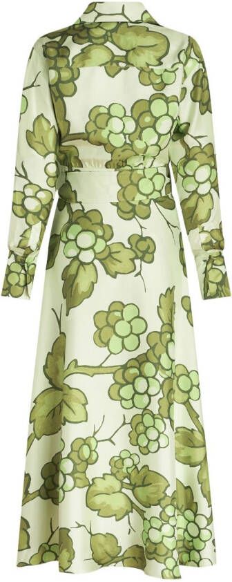 ETRO Maxi-jurk met fruitprint Groen