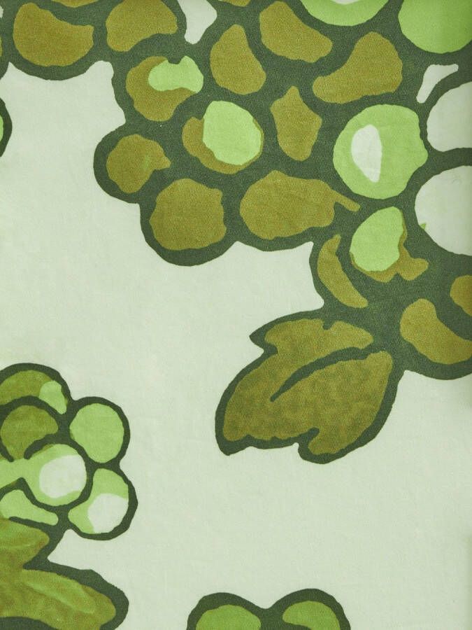 ETRO Maxi-jurk met ruches Groen