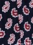 ETRO Zwembroek met paisley-print Blauw - Thumbnail 3