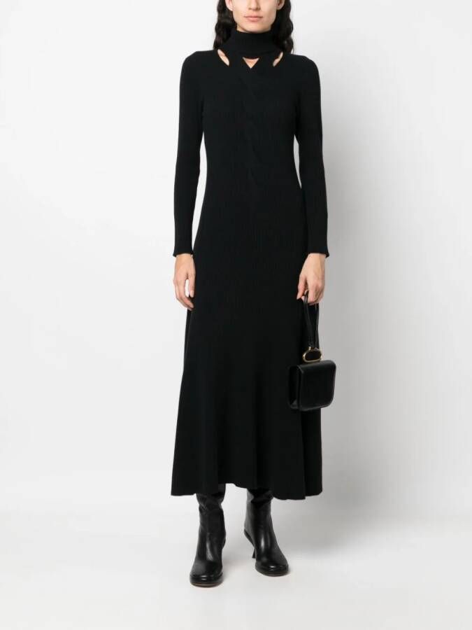 Fabiana Filippi Maxi-jurk met uitgesneden detail Zwart
