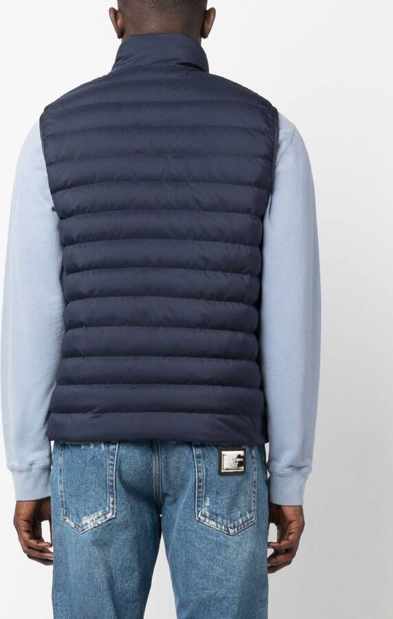 Fay Gewatteerde bodywarmer Blauw