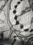 Fleur Of England Bh met kant Zwart - Thumbnail 3