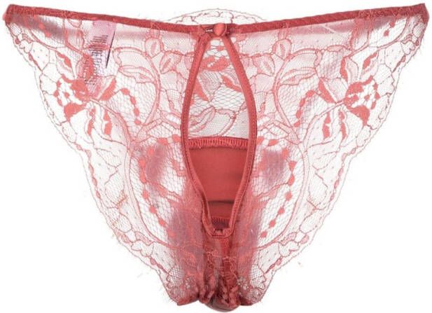 Fleur Of England Slip Roze