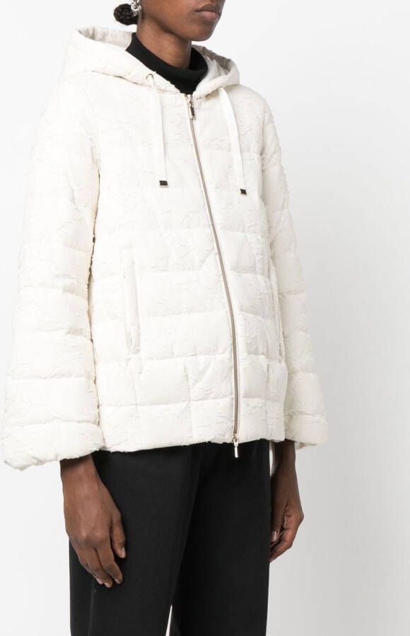 Geox Gewatteerd jack Beige