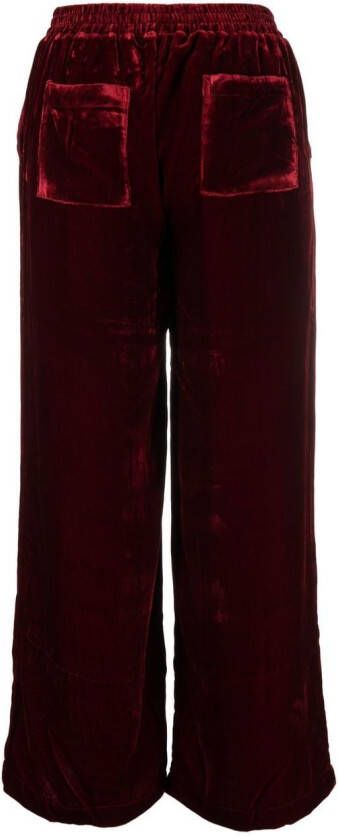 Gold Hawk Fluwelen broek Rood