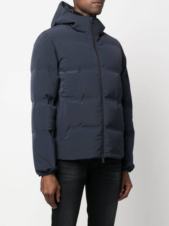 Herno Gewatteerd donsjack Blauw