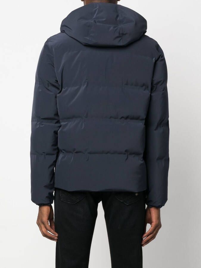 Herno Gewatteerd donsjack Blauw