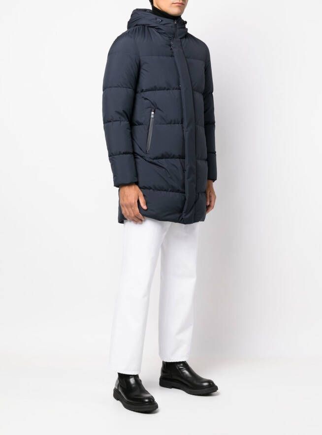 Herno Gewatteerd donsjack Blauw
