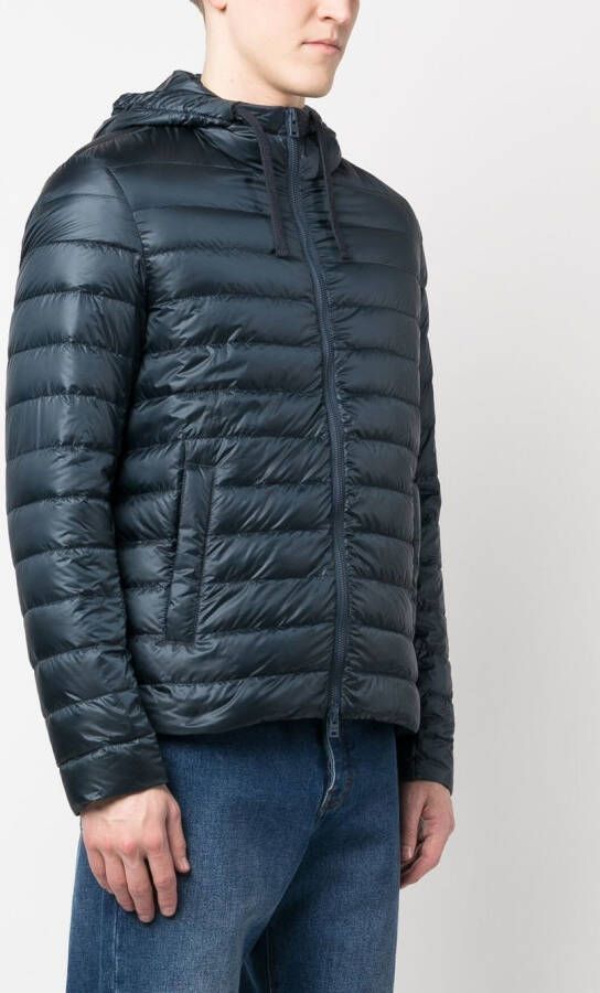 Herno Gewatteerd jack Blauw