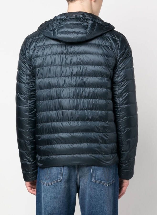 Herno Gewatteerd jack Blauw