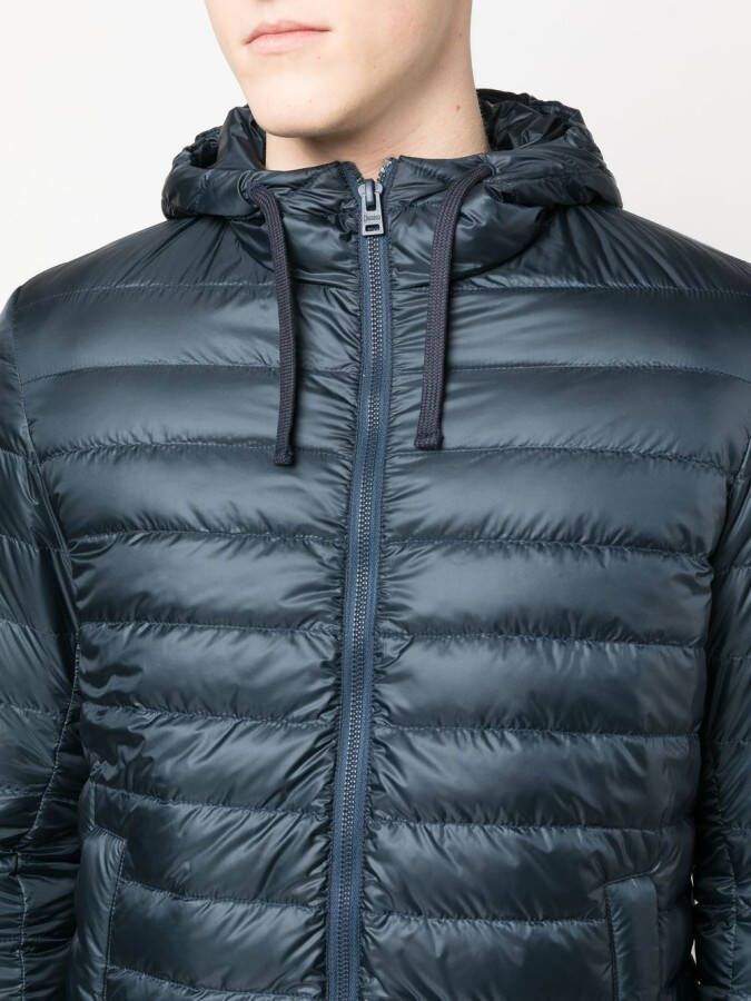 Herno Gewatteerd jack Blauw