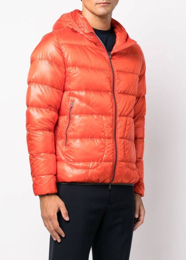 Herno Gewatteerd jack Oranje