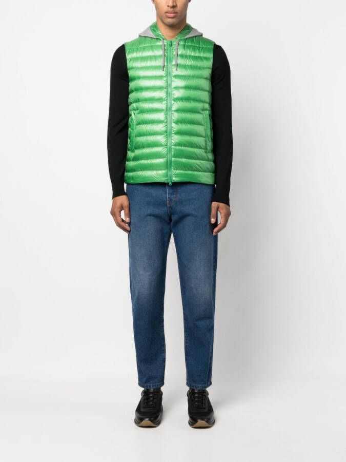 Herno Bodywarmer met capuchon Groen