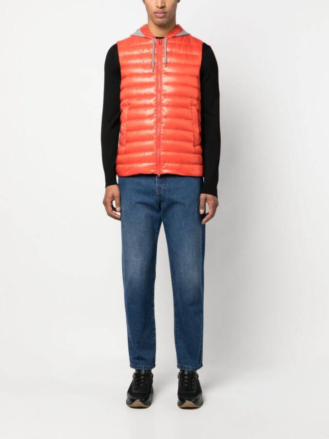 Herno Bodywarmer met capuchon Oranje