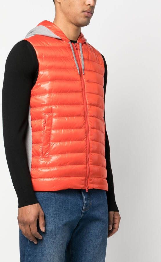 Herno Bodywarmer met capuchon Oranje