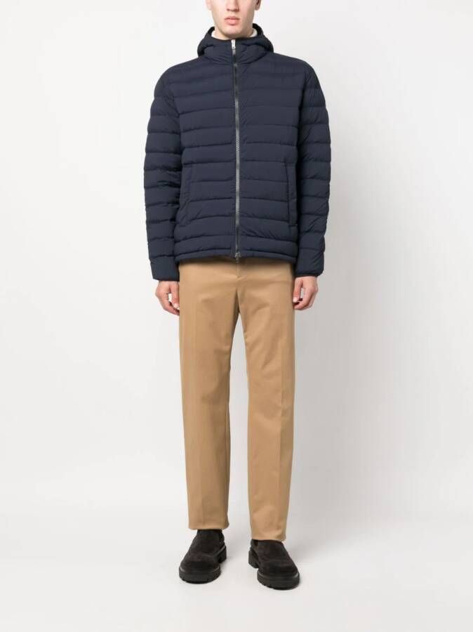 Herno Gewatteerd jack Blauw