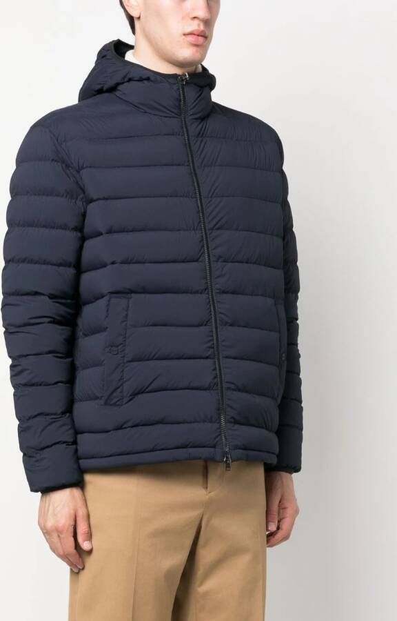Herno Gewatteerd jack Blauw