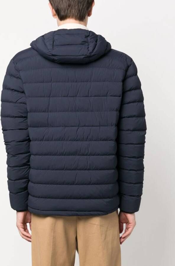 Herno Gewatteerd jack Blauw