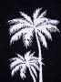 Il Gufo Sweater met palmboomprint Blauw - Thumbnail 3