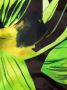 Louisa Ballou Asymmetrisch badpak Zwart - Thumbnail 3
