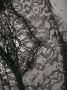 Maison Close Body Zwart - Thumbnail 3
