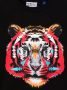 Marcelo Burlon County Of Milan Kids Sweater met tijgerpatroon Zwart - Thumbnail 3