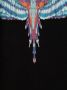 Marcelo Burlon County Of Milan Kids Sweater met vleugelprint Zwart - Thumbnail 3