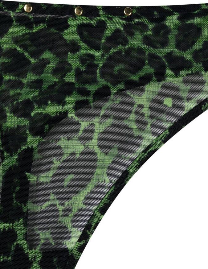 Marlies Dekkers String met luipaardprint Groen