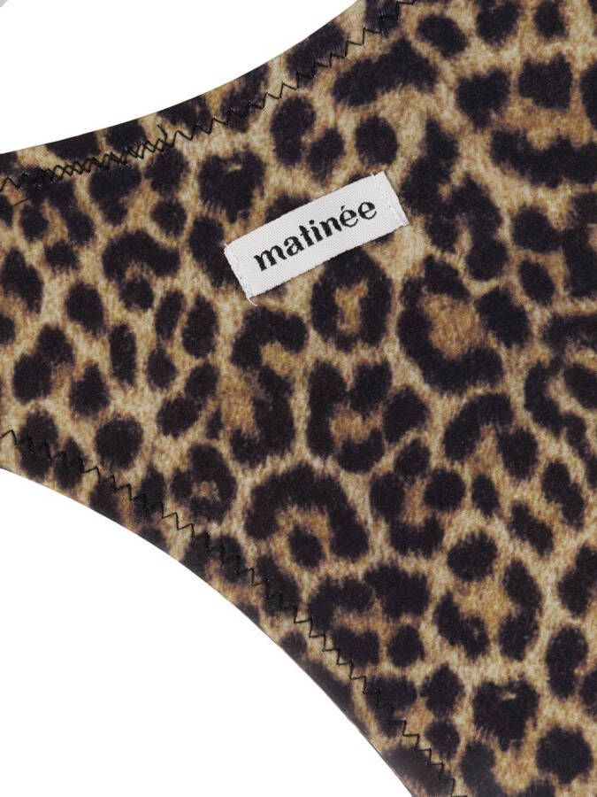 Matinèe Bikinislip met luipaardprint Bruin