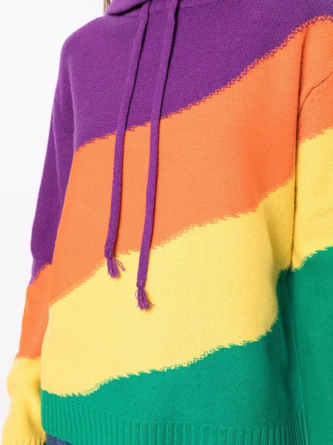 Mira Mikati Gestreepte hoodie Veelkleurig