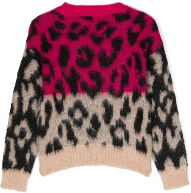 Miss Blumarine Trui met luipaardprint Roze