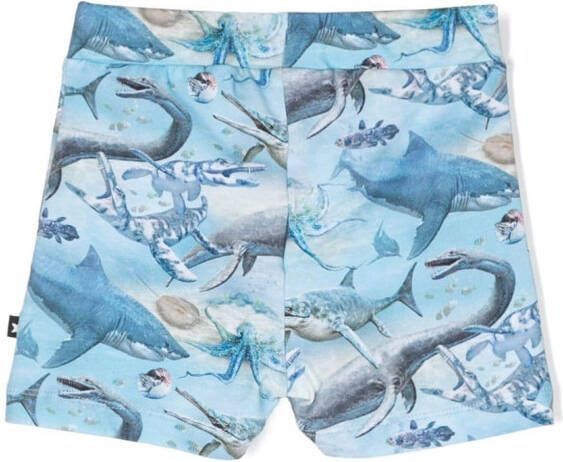 Molo Shorts met grafische print Blauw