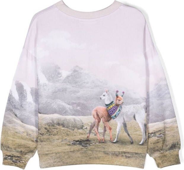 Molo Sweater met print Roze