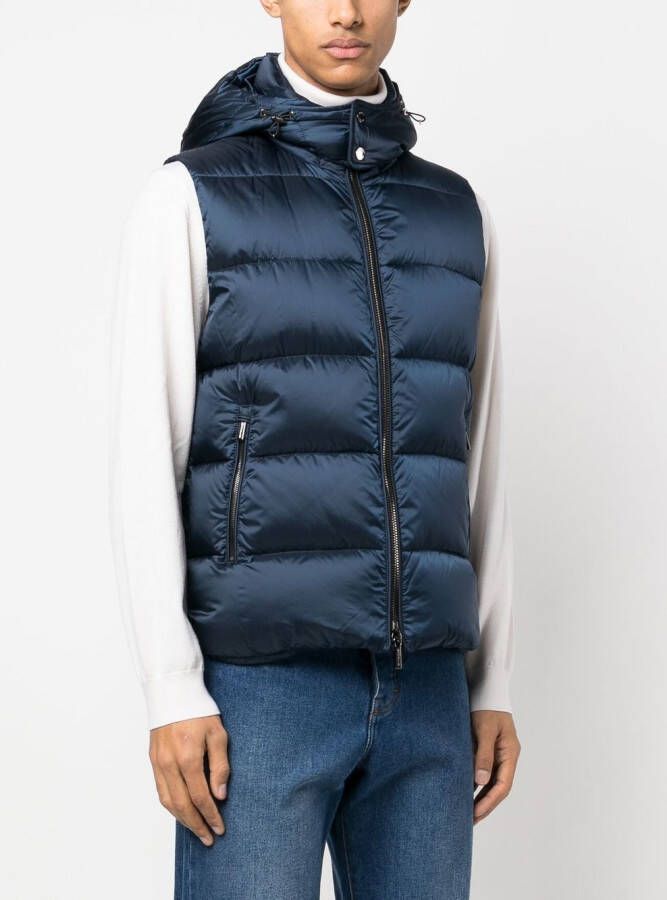 Moorer Bodywarmer met capuchon Blauw