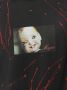 MSGM T-shirt met fotoprint Zwart - Thumbnail 5
