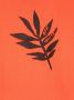 Off-White Kids T-shirt met logoprint Oranje - Thumbnail 2