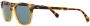 Oliver Peoples O'Malley Sun zonnebril Bruin - Thumbnail 2
