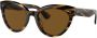 Oliver Peoples Roella zonnebril met kattenoog montuur Zwart - Thumbnail 4