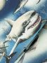 Palm Angels Zwembroek met print Blauw - Thumbnail 4