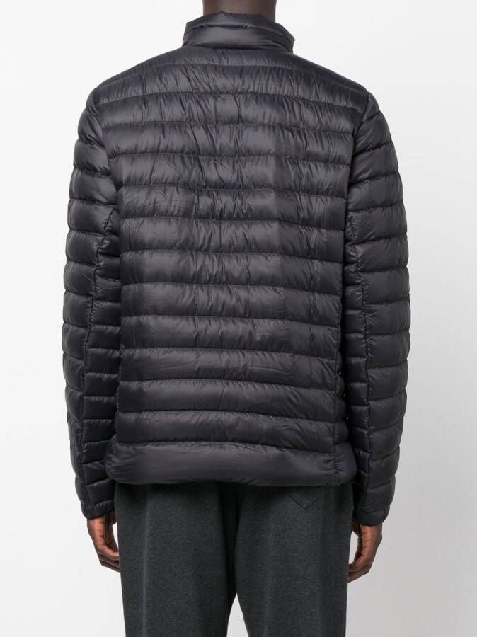 Patagonia Gewatteerd jack Zwart