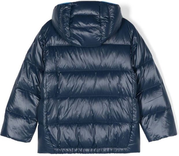 Patagonia Kids Gewatteerd jack Blauw