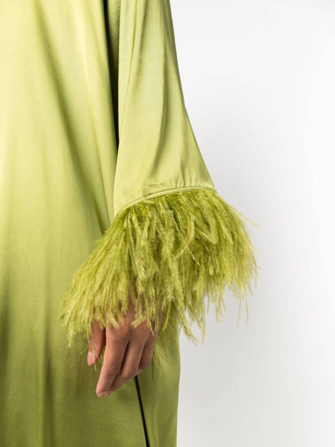 PAULA Maxi-jurk met veren Groen