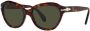 Persol Zonnebril met kattenoog montuur Groen - Thumbnail 2