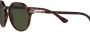 Persol Zonnebril met schildpadschild design Bruin - Thumbnail 3
