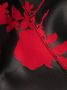 Philosophy Di Lorenzo Serafini Mini-jurk met bloemenprint Zwart - Thumbnail 5