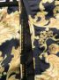 Plein Sport Bikini met barokprint Zwart - Thumbnail 3