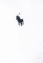 Polo Ralph Lauren Badjas met patroon Wit - Thumbnail 3